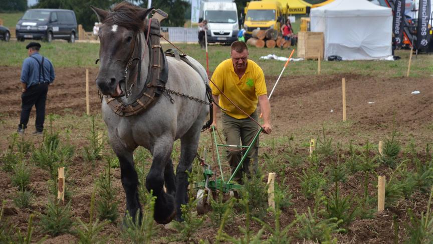 Nouvelle épreuve sur le parcours, le binage de sapins  a été remporté haut la main par l’équipe de Juriew-Taillefert.