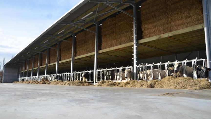 Viande bovine et financement alternatif sont les thèmes du second Sommet des Eleveurs.
