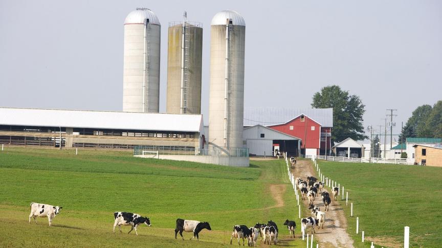 dairy-farm-927579_1920