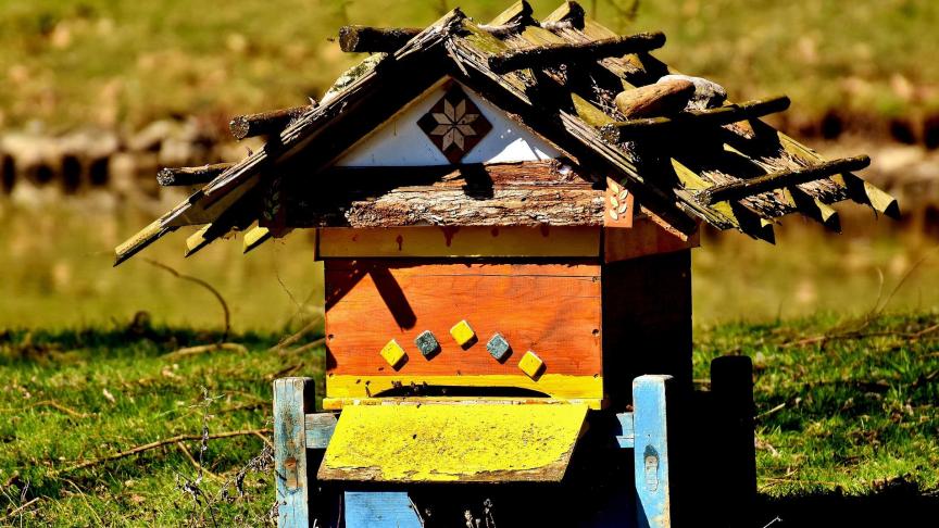 beehive-2183771_1920