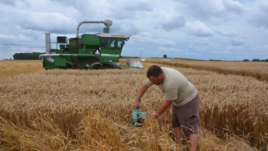 De nouvelles molécules et utilisations à haute valeur ajoutée à partir du son de blé sont au cœur du projet de recherche interfrontalier ValBran.