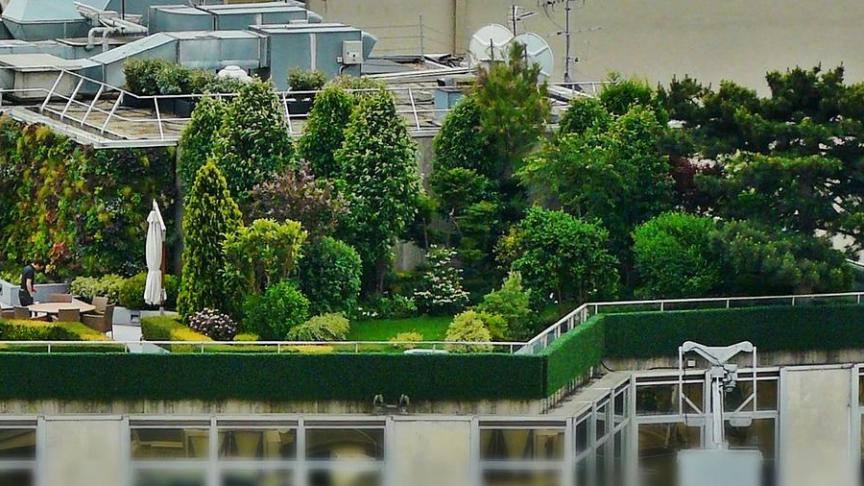 roof-terrace-1423897_1920