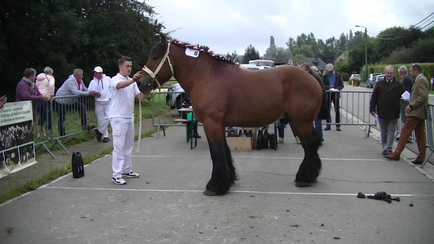 ATOUT DE LA BELLE ARDENNE