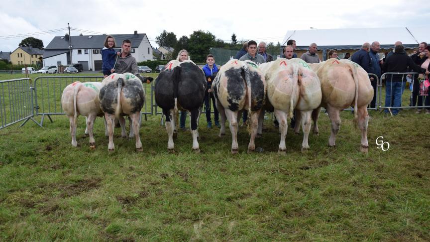 Lot de 1
ers
 prix à Jean-Marie & Joachim Plainchamp et C. Hanus Association, Bellefontaine.