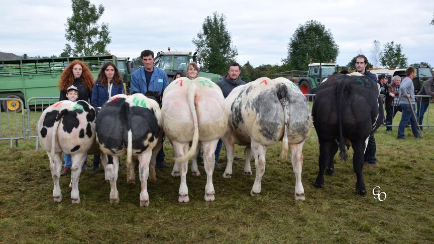 Lot de 1
ers
 prix à Raphaël & Frédéric Krier, Halanzy.