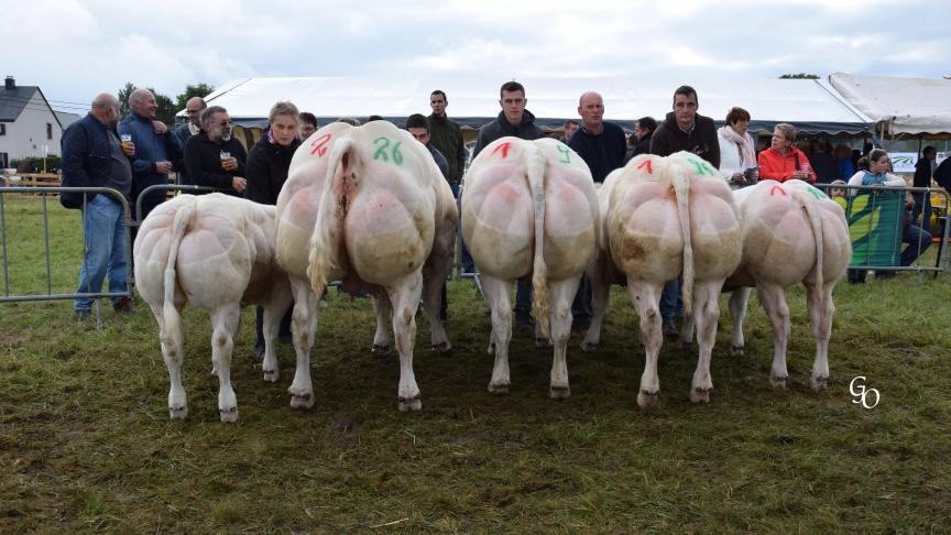 Lot de 1
ers
 prix à Christian & Philippe Bechet, Halanzy.