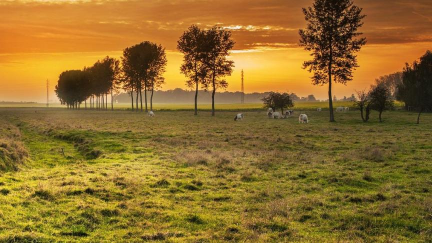 countryside-336686_1920