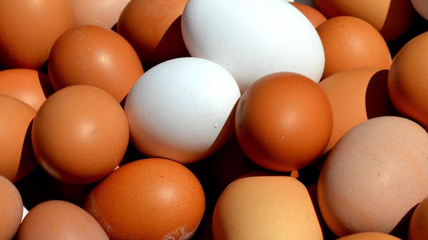 egg-2580904_1920