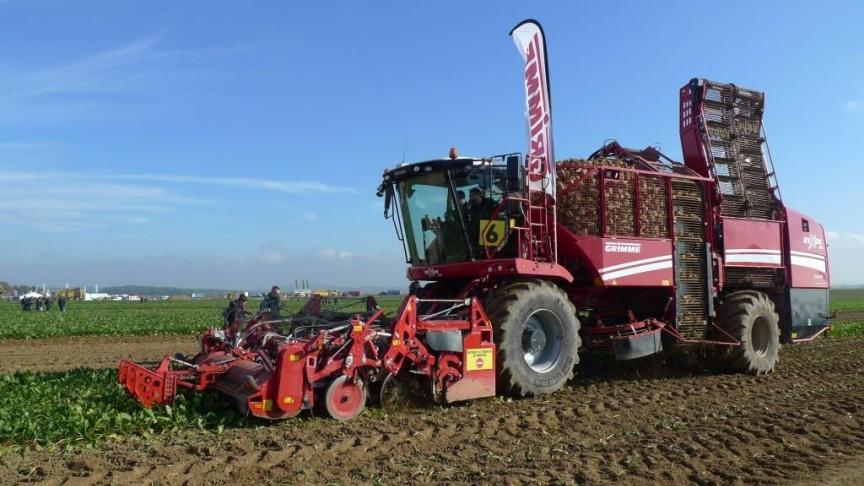 Les conditions météo sont évidemment à prendre en compte  pour une récolte de qualité.