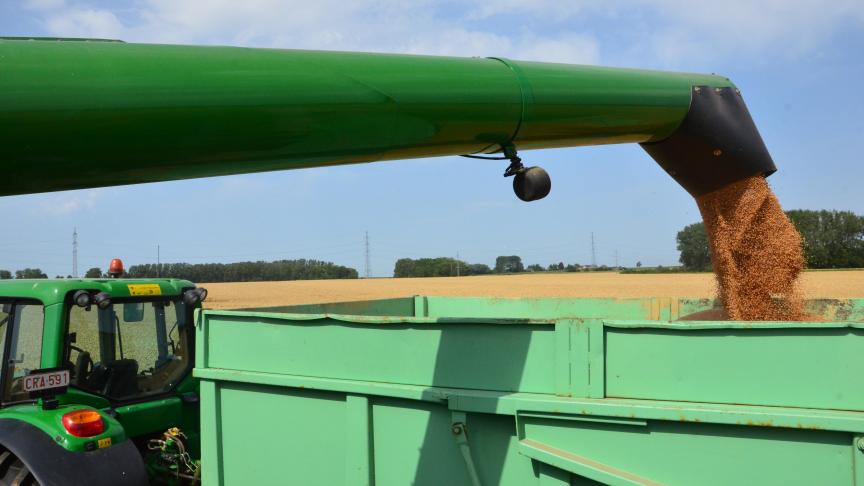 La production mondiale de blé est tirée par la Russie mais surtout par l’Union européenne.