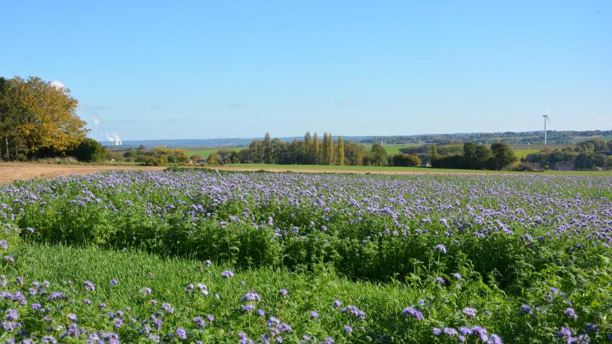 Au sujet du verdissement, la Commission européenne propose la mise sur pied d’un vaste système basé sur des obligations de résultat plutôt que sur des normes!