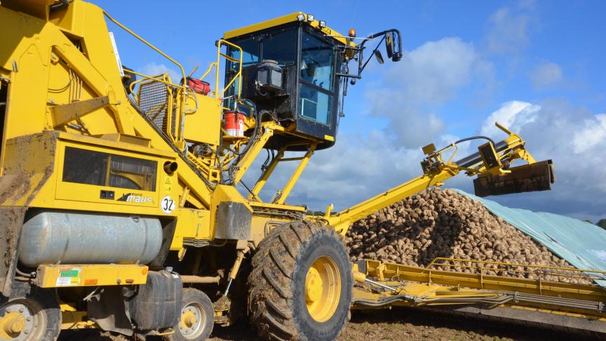 En fonction de l’intérêt, de l’engagement financier des planteurs, le projet d’une nouvelle sucrerie coopérative se concrétisera très rapidement à Seneffe ou prendra fin en mars 2018! .