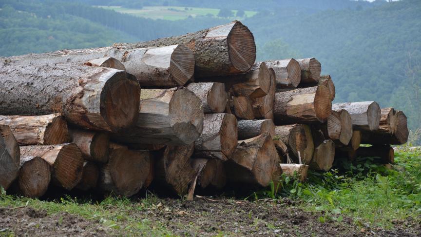 En Europe, les bioénergies, dont fait partie le bois-énergie, constituent 60
% des énergies renouvelables.