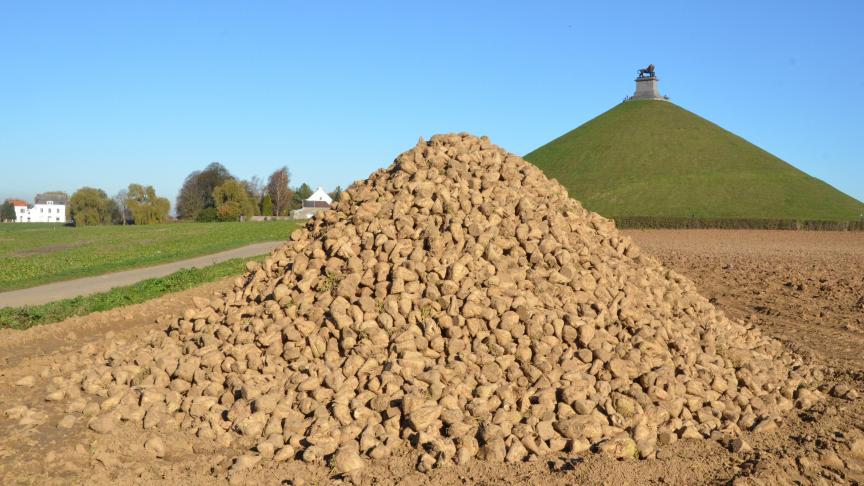 Le différend des campagnes 1999/2000 et 2000/2001 est en voie de résolution.