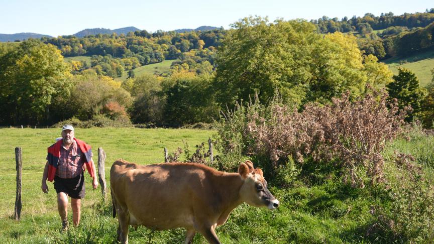 Fromage de montagne - La Ferme Auvergnate