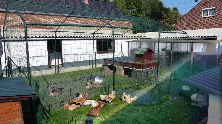 Dans les installations de l’élevage de Limal, les nombreuses espèces et races sont réparties dans  différents enclos.