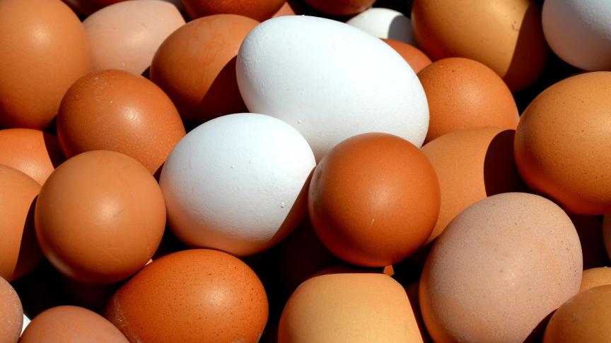 egg-2580904_1920