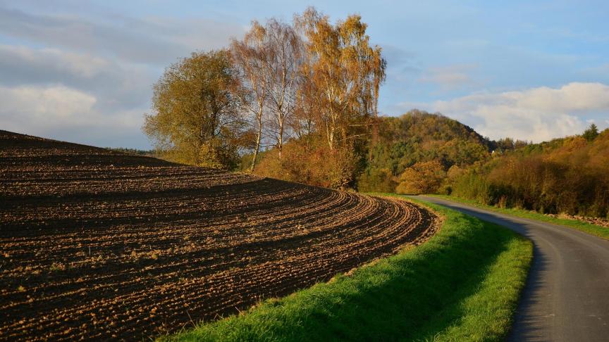 arable-2896460_1920