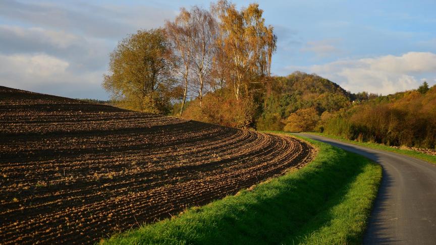 arable-2896460_1920