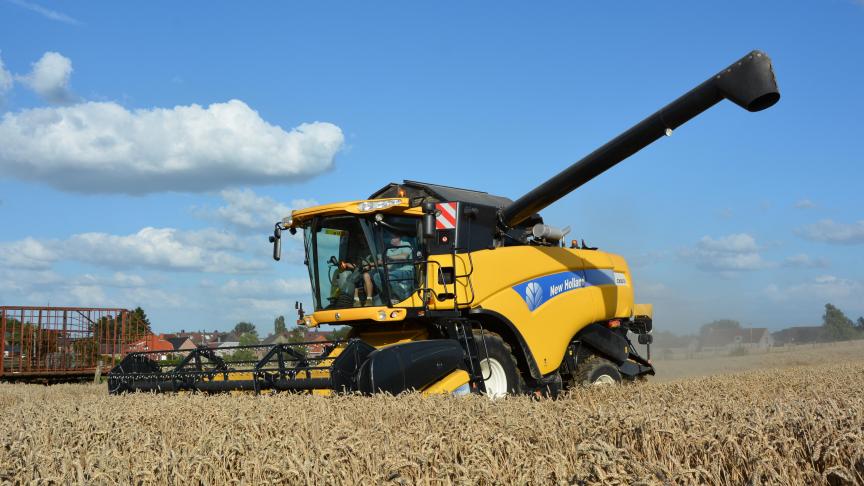 Si la production européenne de froment, estimée à 140
Mt, est en hausse de 5
%, d’importantes différences de qualité sont observées à travers le continent.