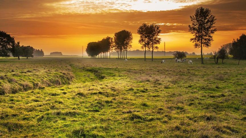 countryside-336686_1920