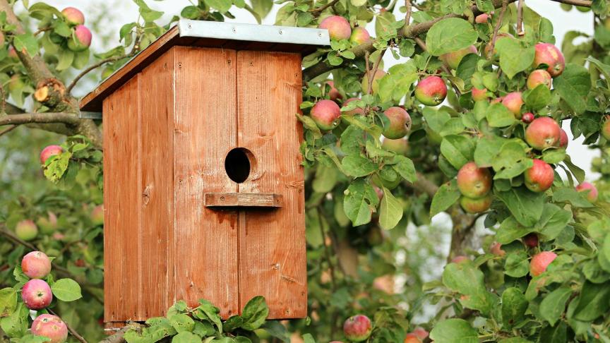 birdhouse-1537806_1920