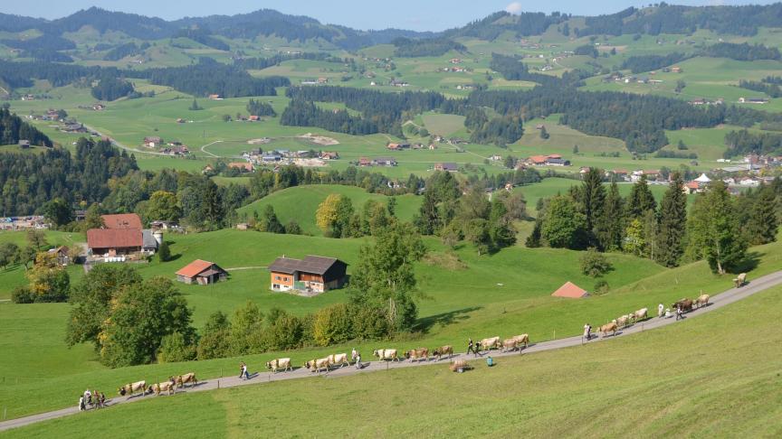La transhumance débute par une lente descente vers le village de Schüpfheim, dans le décor des montagnes et villages suisses.