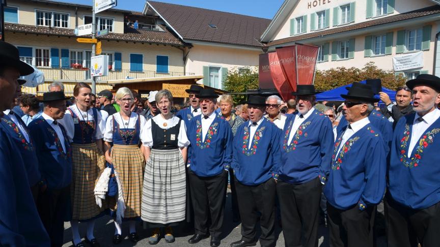 Entre deux troupeaux, des groupes de chanteurs égaient les rues de telle sorte qu’aucun silence ne traverse le cortège.