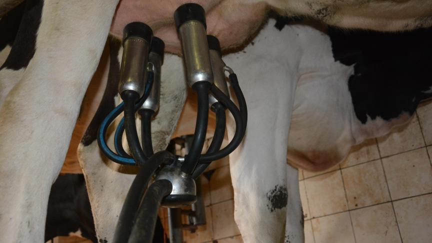 L’observatoire européen des prix juge nécessaire un ajustement de la production au plan mondial pour corriger le déséquilibre entre l’offre et la demande et éviter l’accumulation de stocks ».
