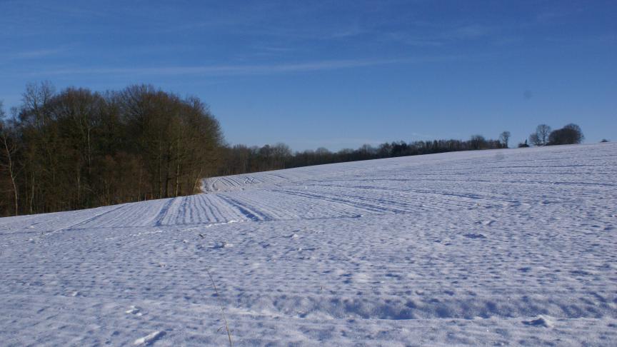 Il interdit d’épandre des engrais de ferme sur les parcelles (ou parties de parcelles) enneigées.