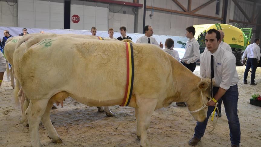 Hawaienne du bois d’Hernoy, championne des primipares mixtes mh mh,
à Jean-Pol
Servais,
Froidchapelle.