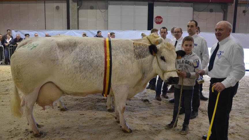 Barbie de Terniaux, kampioene bij de mixte koeien. Eig.: Vandromme en Baudson, Vergnies.
