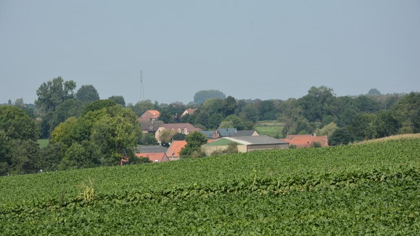DSC_9687