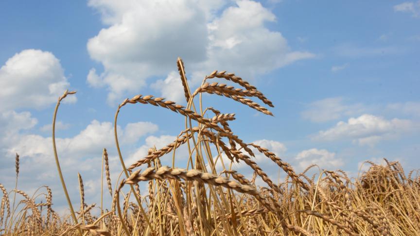 Synagra mettra en place un système de remboursement des 5 €/t prélevés à partir du 1
er
 janvier 2018 si l’agriculteur obtient son certificat avant le 31 décembre 2018.