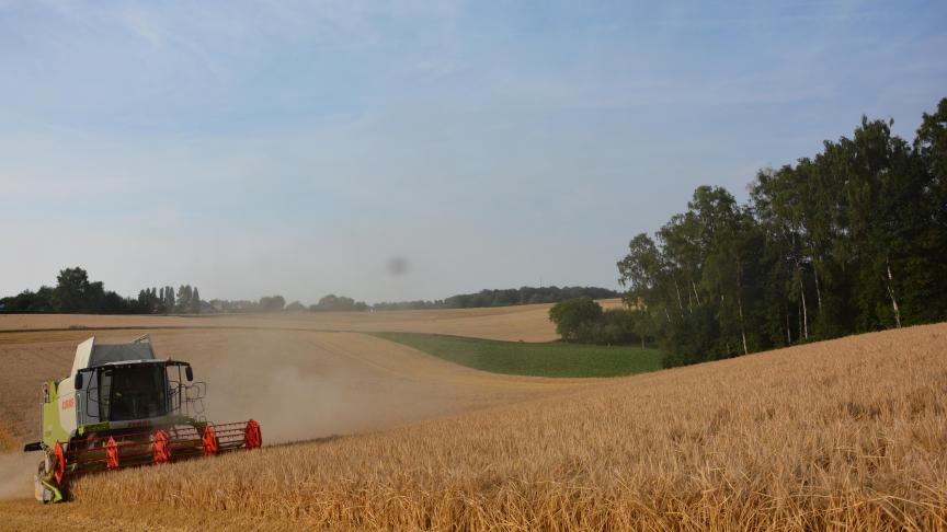 Dans leur position commune sur la révision de la directive Énergies renouvelables, les Etats membres de l’UE prévoient un objectif de 14% d’énergies renouvelables dans les transports d’ici 2030, dont 3% de biocarburants dits avancés.