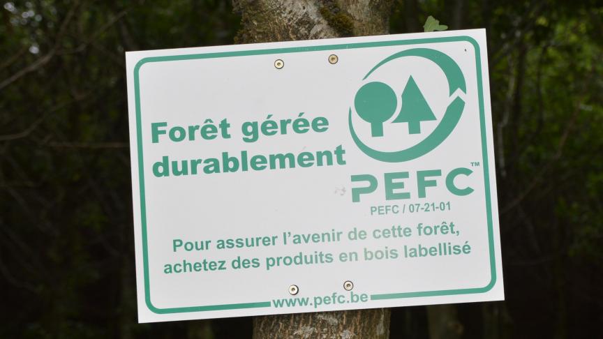 Dans le domaine de la certification forestière, Pefc fait figure de leader mondial.