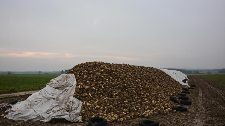Depuis ce début janvier bien sombre, les ministres de l’Agriculture de l’UE continuent de plancher sur l’avenir de la pac, et ce tout au long de ce premier semestre, sous la présidence bulgare.