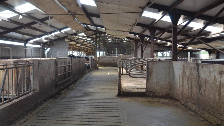 Les problèmes des courants vagabonds surviennent le plus souvent lors de l’agrandissement d’une structure existante et non lors de la construction de nouvelles étables.