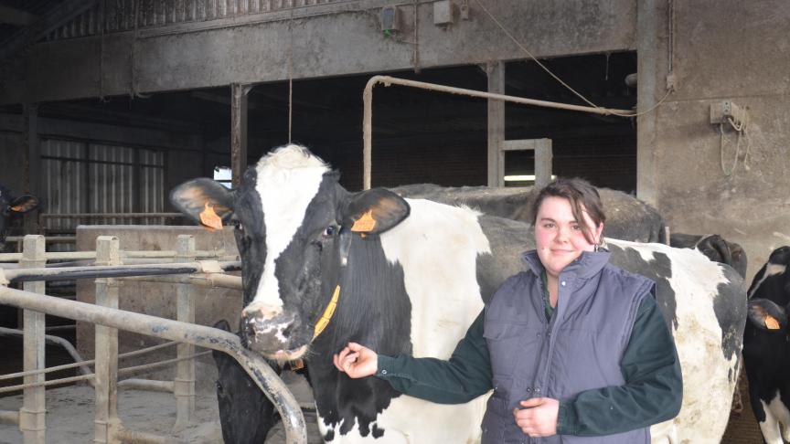 Céline Lampole a réalisé son travail de fin d’études sur le sujet afin de se rendre compte des coûts réels et de la rentabilité de l’opération.  Elle était étonnée de la quantité d’argent dépensé à cause d’une mammite.