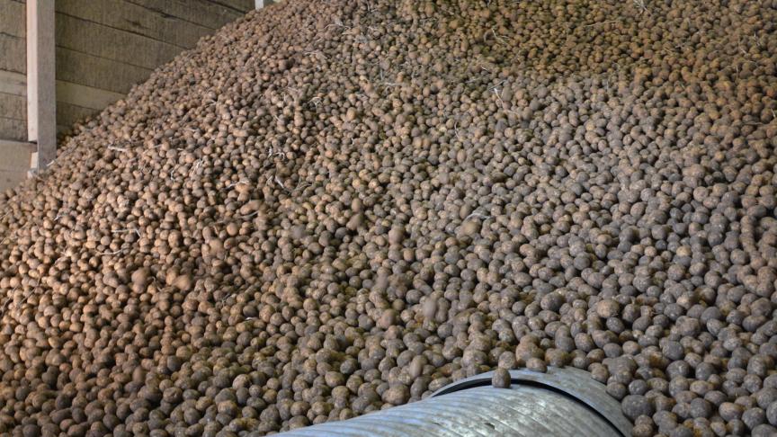 Coûteux, le maintien de la qualité est pourtant impératif!