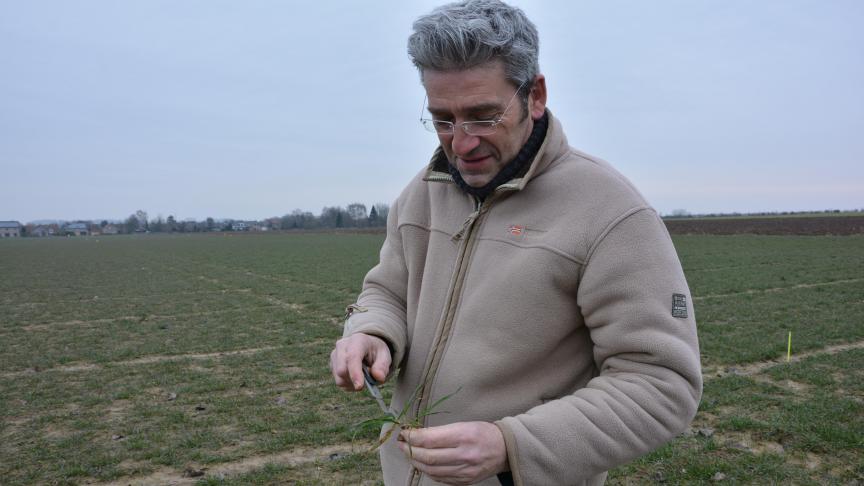 Olivier Mahieu, ingénieur au Carah: «L’arrivée tardive du froid hivernal nous force à la patience. Lorsque les conditions seront meillieures, il sera temps de songer au premier apport azoté dans les cultures.»