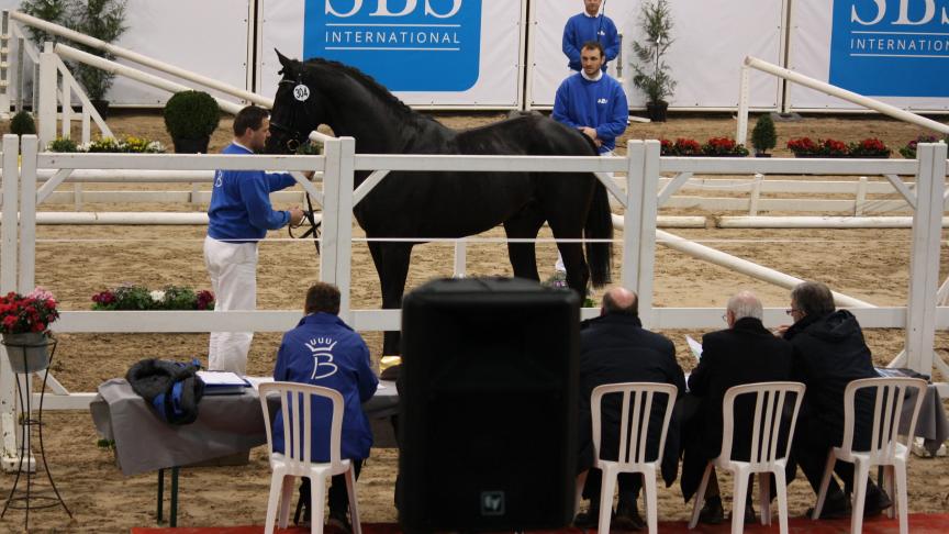 Comme l’année dernière, le jury cotera les étalons avec des étoiles et non plus des lettres.