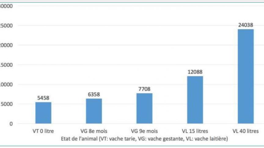 Figure 1
: besoins en VEM des vaches laitières selon leur état.