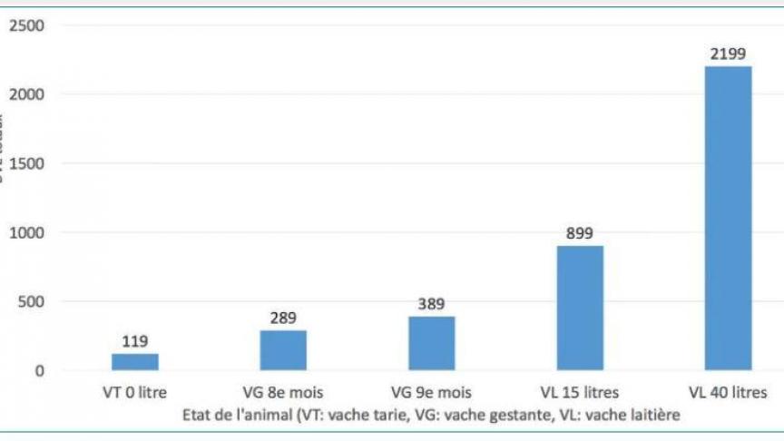 Figure 2
: besoins en DVE des vaches laitières selon leur état.