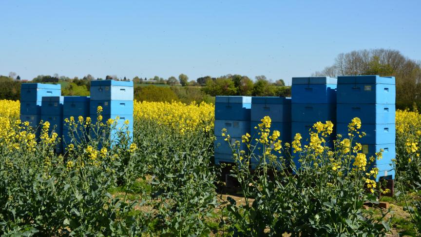 « Pour lutter plus efficacement contre toutes sortes de ravageurs des abeilles indigènes et exotiques,  il est nécessaire que les différentes parties concernées travaillent ensemble, de manière constructive  et sur la base d'un maximum de données », plaide Phytofar.
