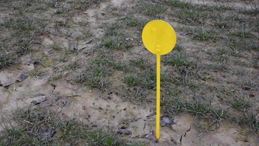 Stade de développement, conditions climatiques, espèces présentes... le désherbage impose observation et raisonnement.