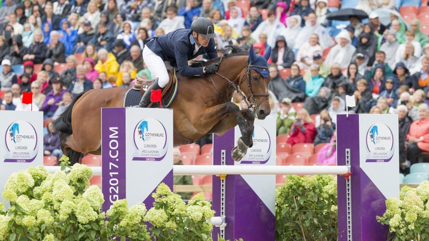 ALL-IN-Göteborg2017(Claes Jakobsson-FEI)