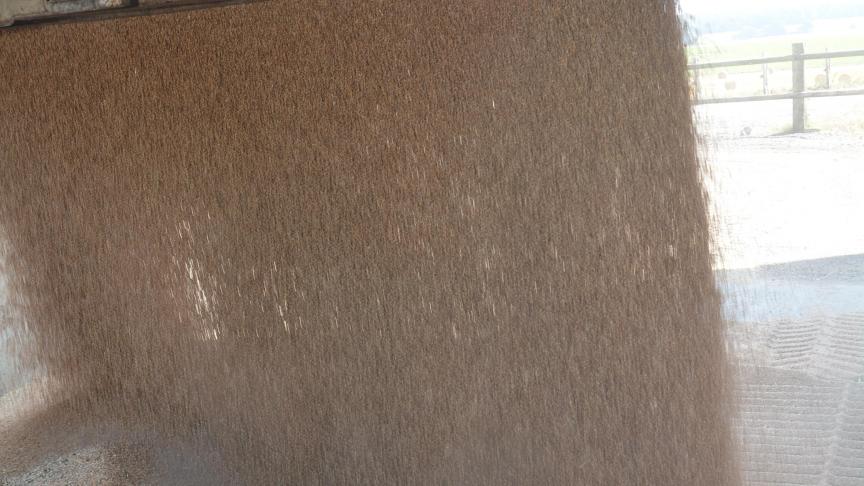 Le marché international du blé est largement dominé par la Russie.