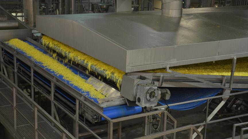 L’année dernière, les entreprises ont transformé 4,75 millions de tonnes en frites, chips,  croquettes, flocons, granulats et autres produits  à base de pommes de terre.