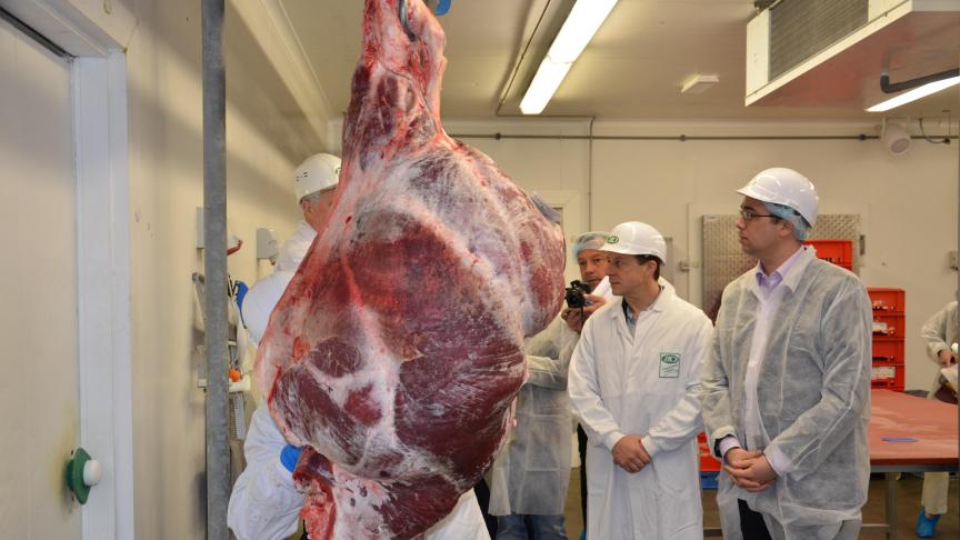 «En résumé, le BBB permet d’offrir au consommateur exactement ce qu’il souhaite
: une viande maigre, tendre et goûteuse, produite dans le respect du bien-être animal et de la sécurité alimentaire.»